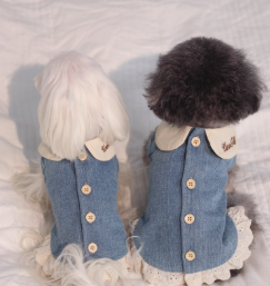 Original Lightweight Denim Outfit with Lace Hem and Buttoned Back - Vintage and Elegant Design, Perfect for Special Occasions and Daily Wear for Pets