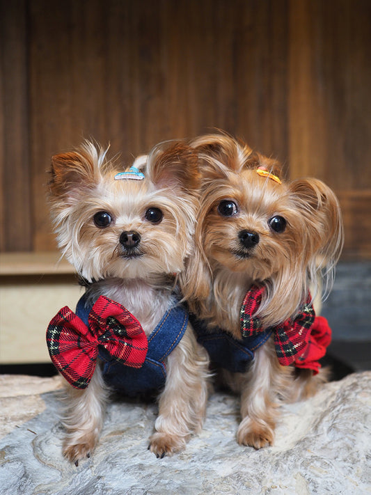 Original Denim Dog Dress Design with Blue Denim and Red Plaid Ruffled Skirt - Cute, Fashionable for Daily Wear, Outings, Special Occasions, Ideal for Keeping Your Pet Stylish and Comfortable for Pets